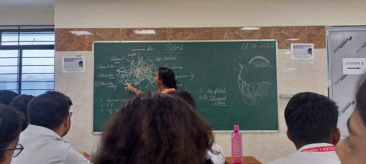 Anatomy Demonstration Class